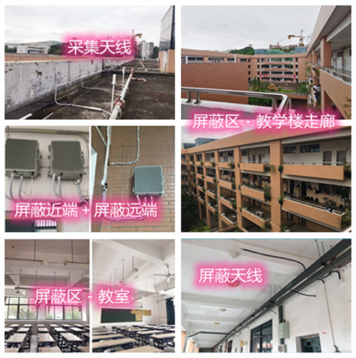  和庆镇某中学考场屏蔽案例（数字信令级）